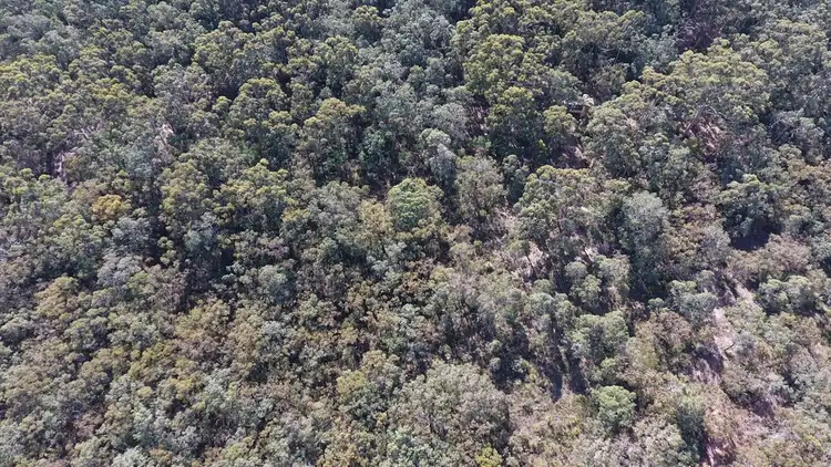 Third view of Homely rural property listing, 43 Mira Flores Ave, Porongurup WA 6324