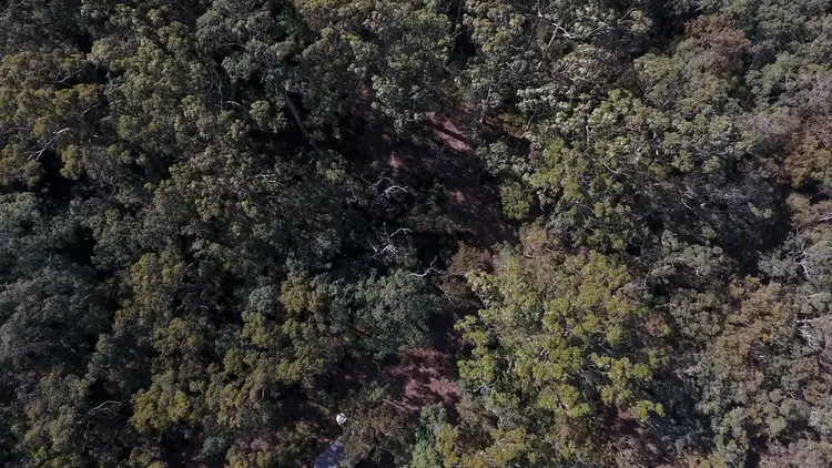 Fifth view of Homely rural property listing, 43 Mira Flores Ave, Porongurup WA 6324