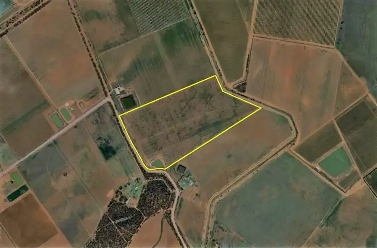 Main view of Homely rural property listing, Farm 476 West Road, Nericon NSW 2680