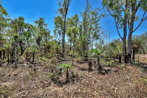 Fourth view of Homely rural property listing, Section 3672, 4500 Fog Bay Road, Dundee Forest NT 840