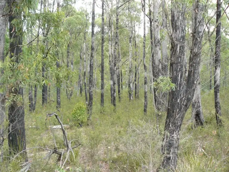 Third view of Homely land listing, Lots 1 & 2 Kellevie Road, Kellevie TAS 7176