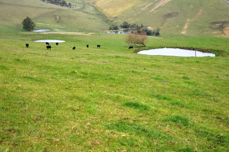 Main view of Homely rural property listing, 765 BENA-KONGWAK ROAD, Bena VIC 3946
