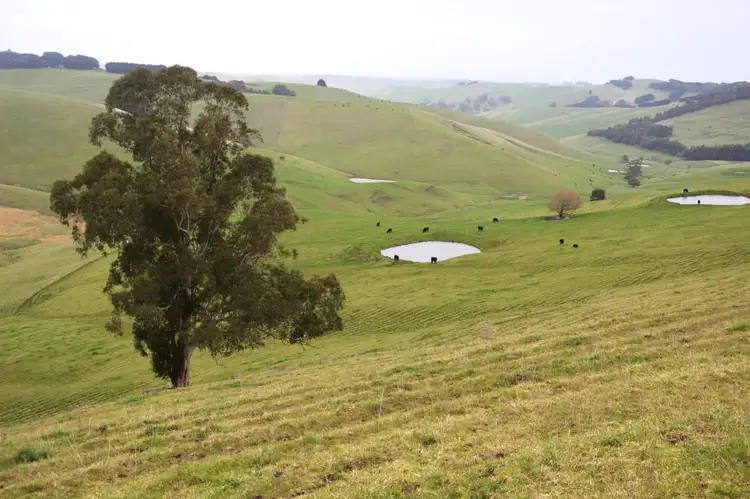 Second view of Homely rural property listing, 765 BENA-KONGWAK ROAD, Bena VIC 3946
