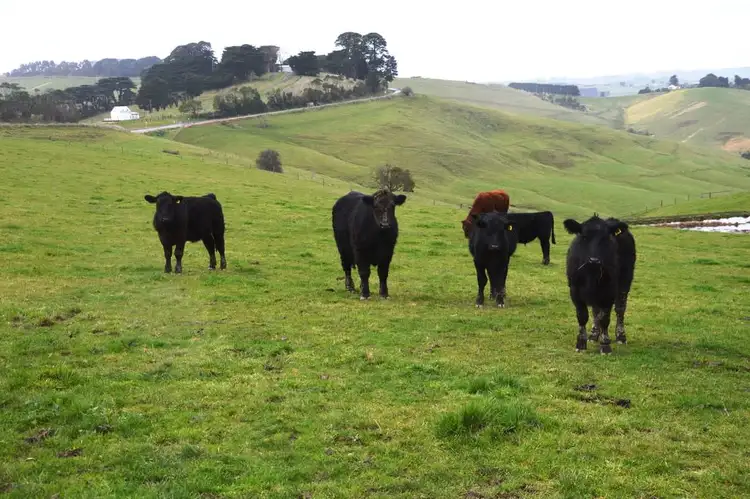 Third view of Homely rural property listing, 765 BENA-KONGWAK ROAD, Bena VIC 3946