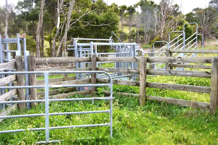 Fourth view of Homely rural property listing, 765 BENA-KONGWAK ROAD, Bena VIC 3946