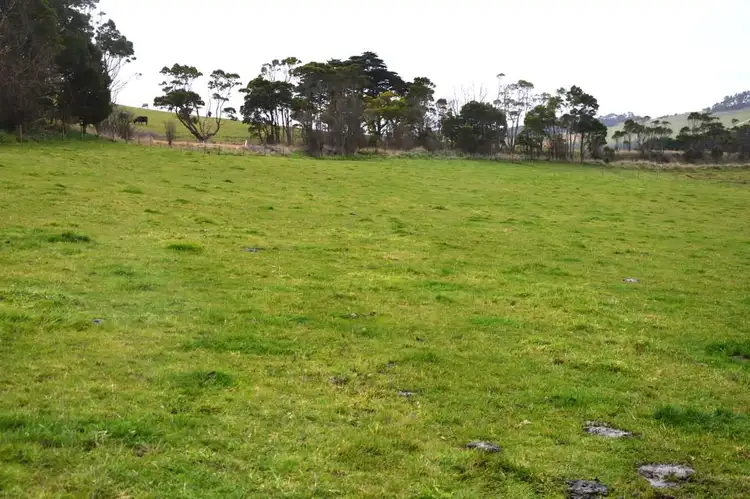 Sixth view of Homely rural property listing, 765 BENA-KONGWAK ROAD, Bena VIC 3946