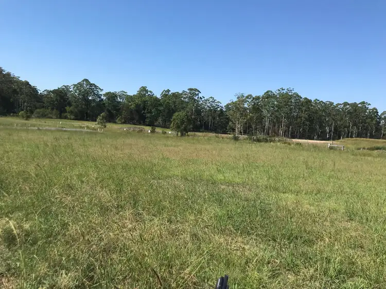 Fourth view of Homely land listing, Lot 37 Stage 1 Beechwood Meadows, Beechwood NSW 2446