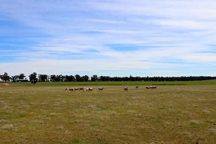 Fifth view of Homely rural property listing, Address available on request