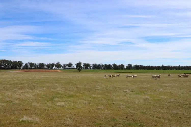 Seventh view of Homely rural property listing, Address available on request