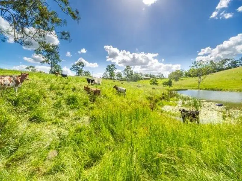 Main view of Homely rural property listing, Address available on request