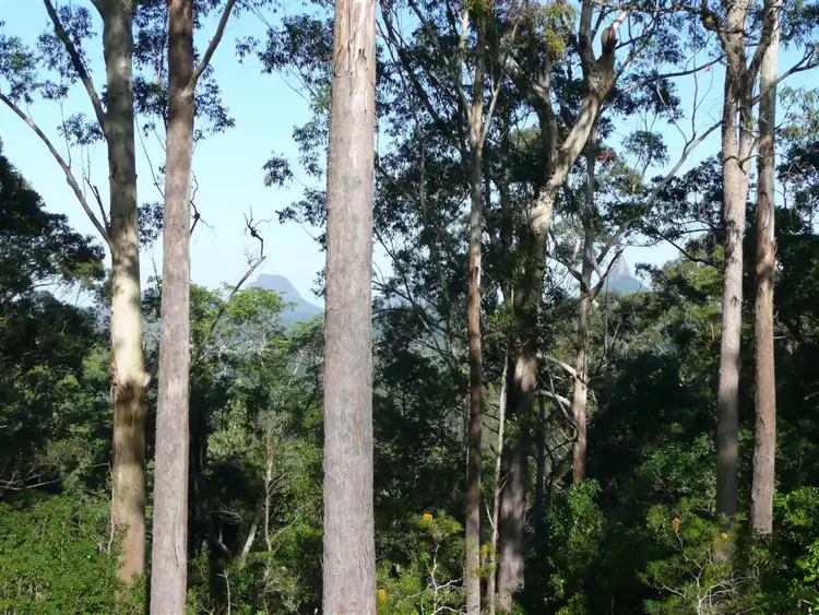 Second view of Homely house listing, 42 Julian Street, Peachester QLD 4519