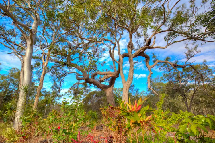 Seventh view of Homely house listing, 138 Allingham Way, Agnes Water QLD 4677