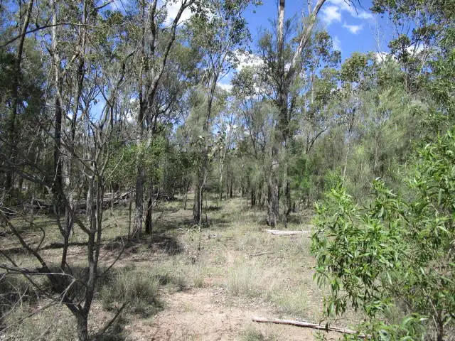 Main view of Homely rural property listing, LOT 2 WERANGA NORTH ROAD, Tara QLD 4421