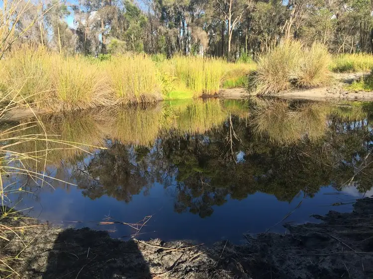 Sixth view of Homely rural property listing, 53 Raphael Road, Bullsbrook WA 6084