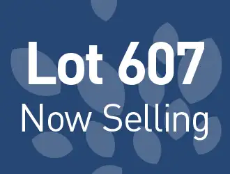 Lot 607 ALBEROD ST, Hammond Park WA 6164