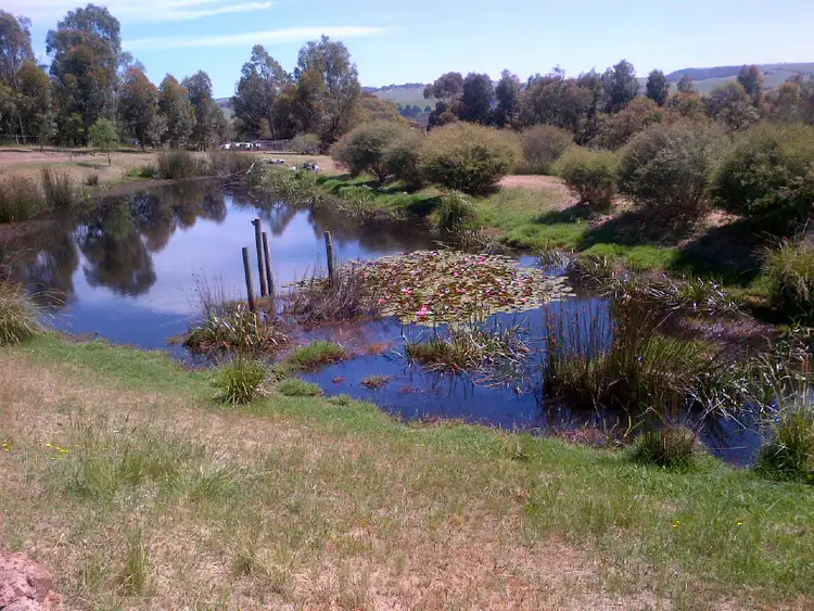 Third view of Homely house listing, 31 Payne Street, Coleraine VIC 3315