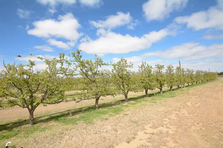 Third view of Homely house listing, 568 Pomona Road, Pomona NSW 2648