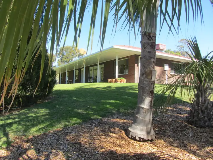 Main view of Homely house listing, 100 Kooroogamma Road, Moree NSW 2400
