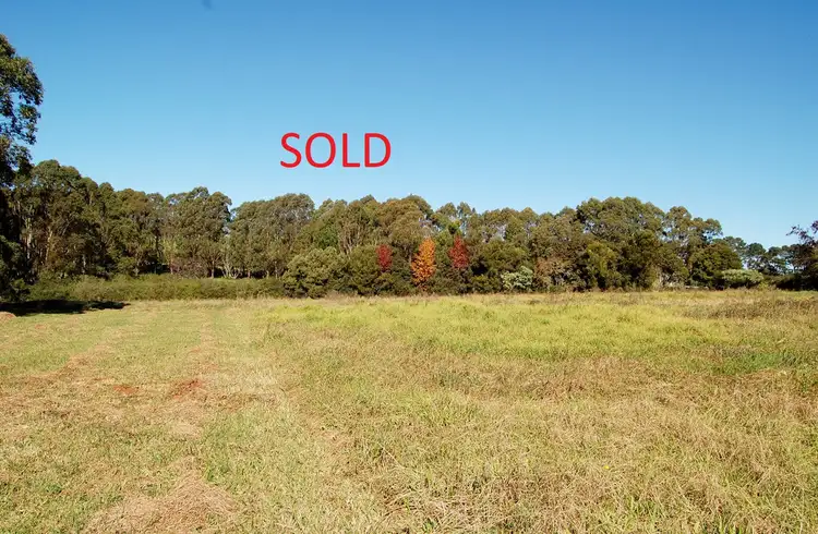 683 TYRINGHAM ROAD, Dorrigo NSW 2453