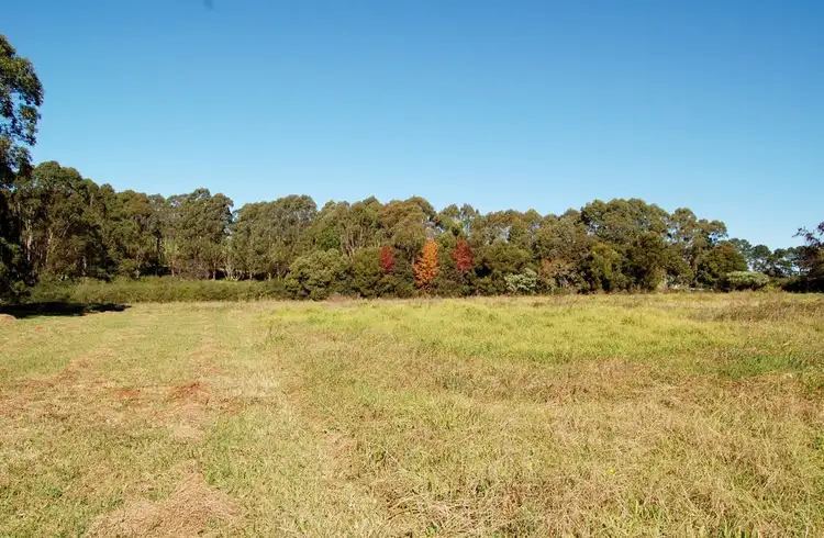 Second view of Homely land listing, 683 TYRINGHAM ROAD, Dorrigo NSW 2453