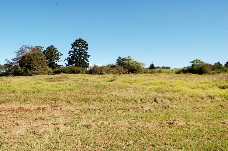 Fifth view of Homely land listing, 683 TYRINGHAM ROAD, Dorrigo NSW 2453