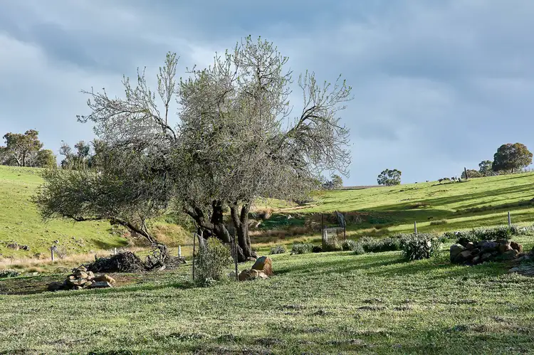Third view of Homely rural property listing, Lot 69 Cox Road, Strathalbyn SA 5255