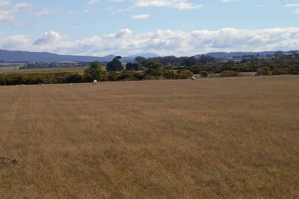 Main view of Homely land listing, 75 Clayfield Road, Bishopsbourne TAS 7301