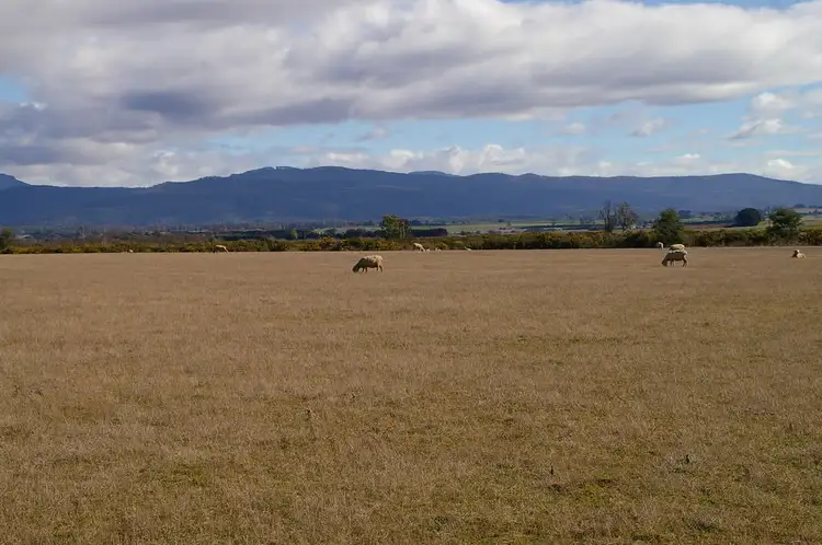 Fourth view of Homely land listing, 75 Clayfield Road, Bishopsbourne TAS 7301