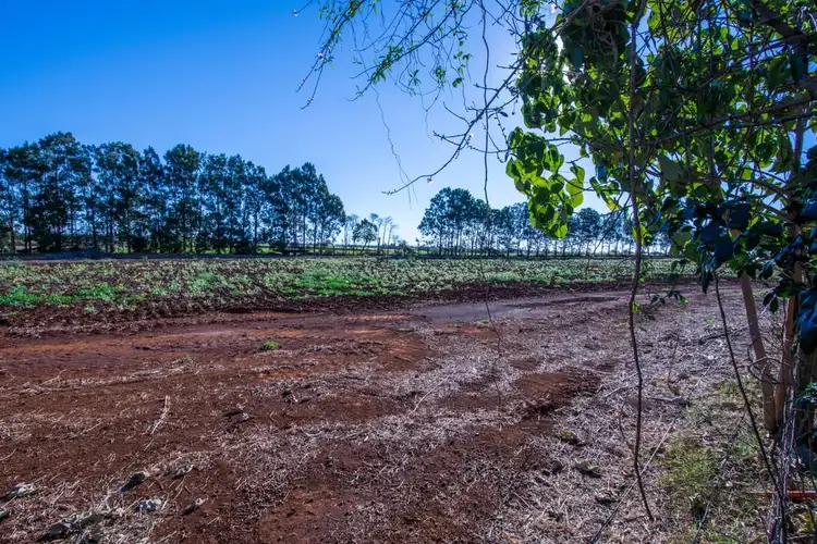 Fifth view of Homely house listing, 71 Heidkes Road, Windermere QLD 4670