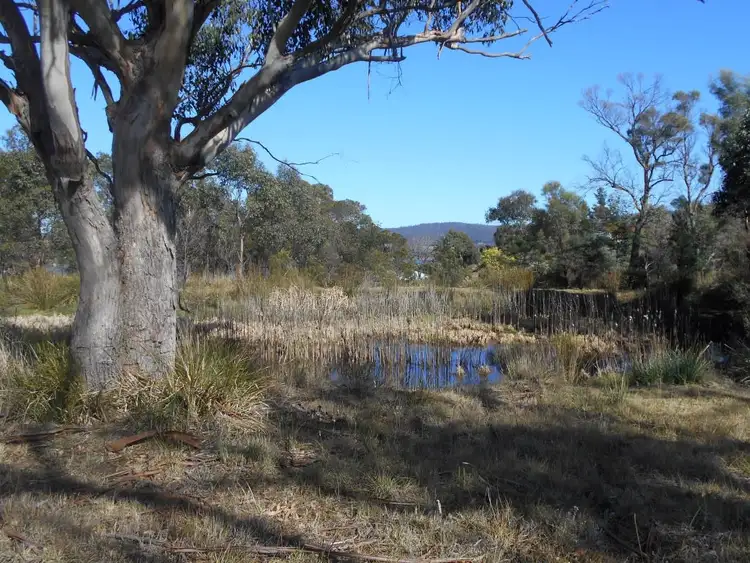 Fourth view of Homely land listing, 79 Inkerman Street, Triabunna TAS 7190