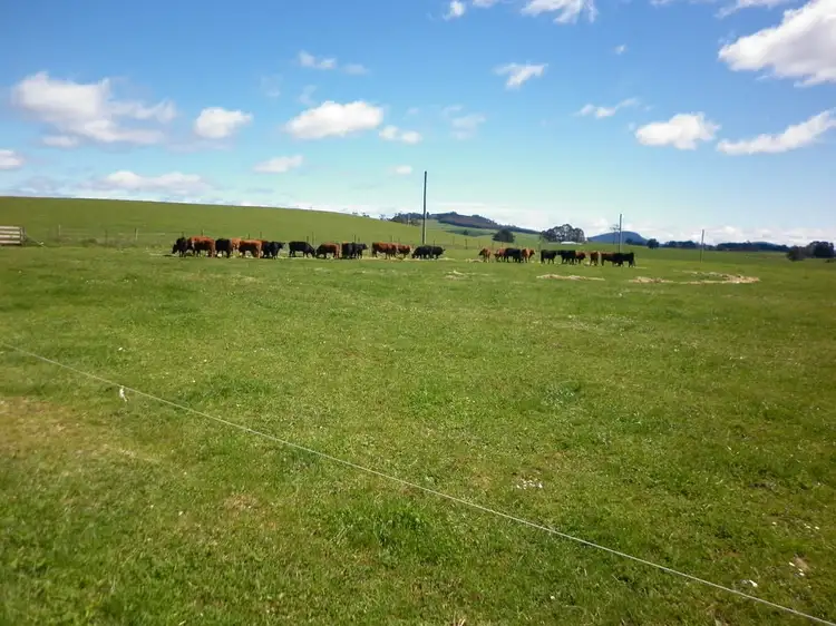 Main view of Homely rural property listing, 127 Jacks Road, Preston TAS 7315