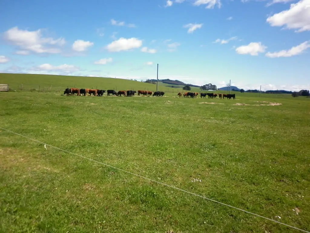 Main view of Homely rural property listing, 127 Jacks Road, Preston TAS 7315