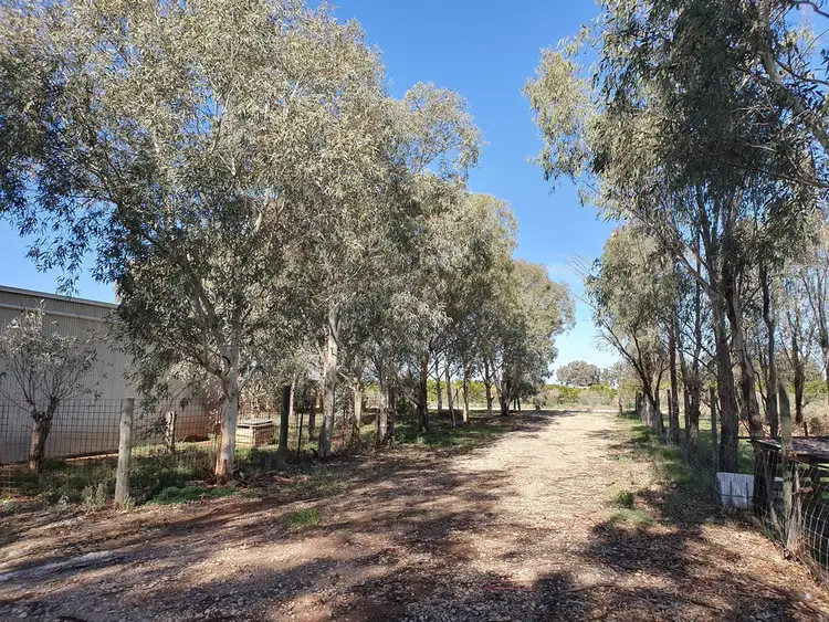 Sixth view of Homely rural property listing, Farm 548C Bilbul Road, Bilbul NSW 2680