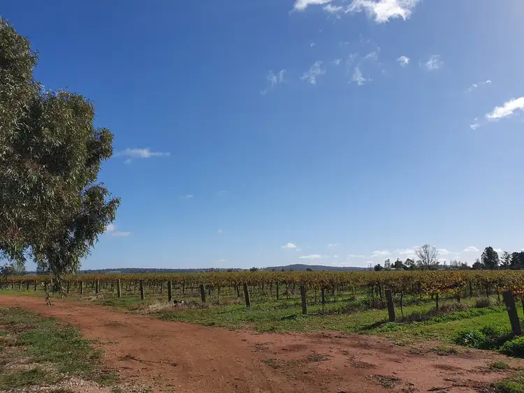 Seventh view of Homely rural property listing, Farm 548C Bilbul Road, Bilbul NSW 2680