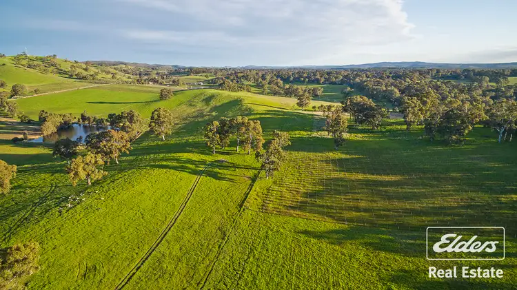 Fourth view of Homely house listing, 18 Fromm Square, Williamstown SA 5351