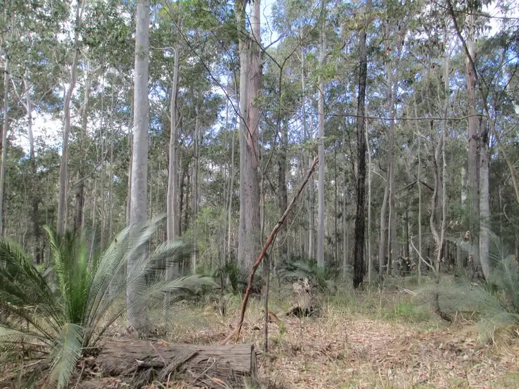 Lot 5 Horse Island Road, Bodalla NSW 2545