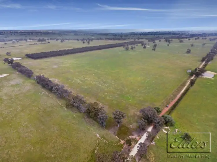 Main view of Homely rural property listing, Allotment 14 Carmody Road, Toolleen VIC 3551