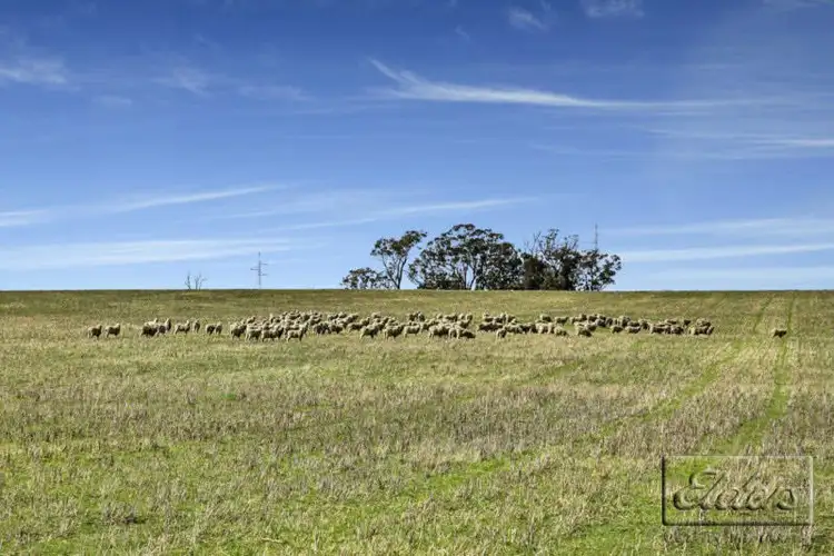 Second view of Homely rural property listing, Allotment 14 Carmody Road, Toolleen VIC 3551