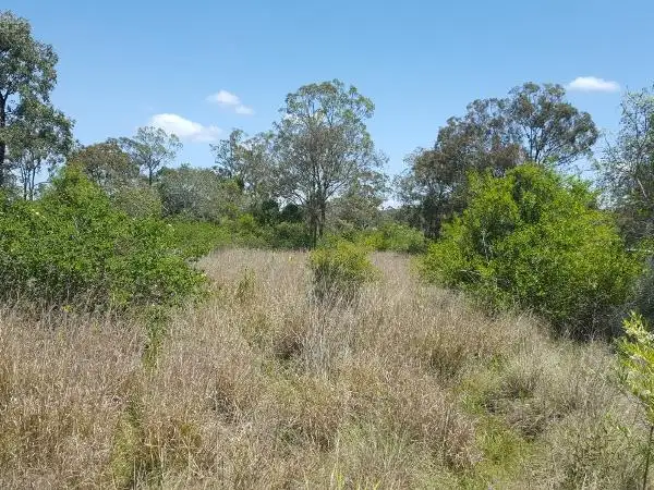 Main view of Homely land listing, lot 101 Lilian Avenue, Ellesmere QLD 4610