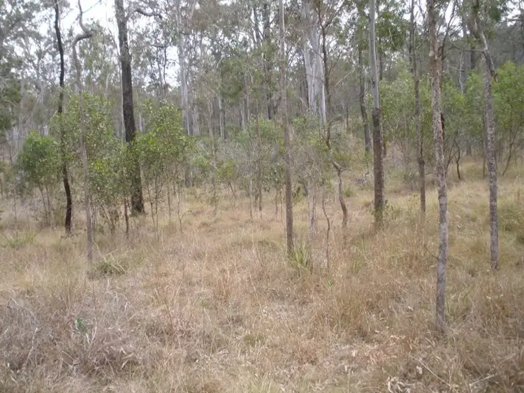 Lot 41 Franklins Road, Wattle Camp QLD 4615