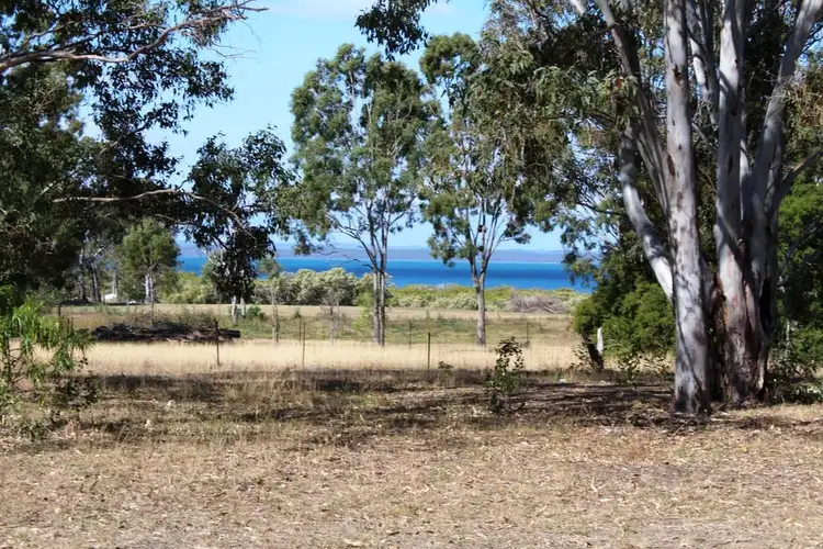 Second view of Homely house listing, 59 Ti Tree Road East, Booral QLD 4655