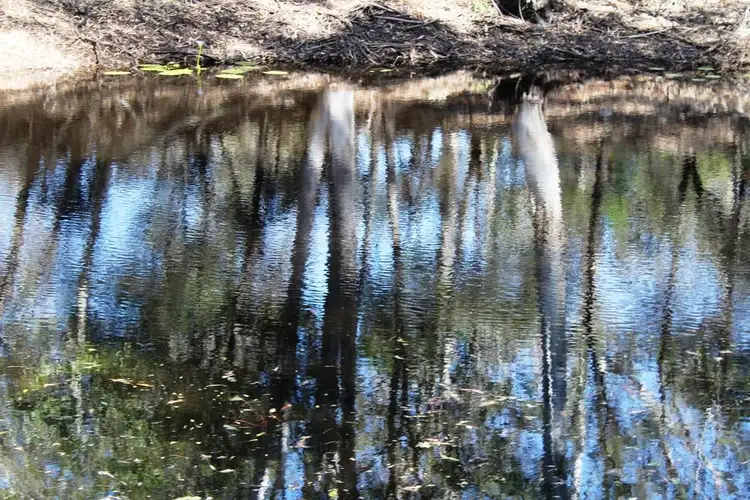 Third view of Homely house listing, 59 Ti Tree Road East, Booral QLD 4655