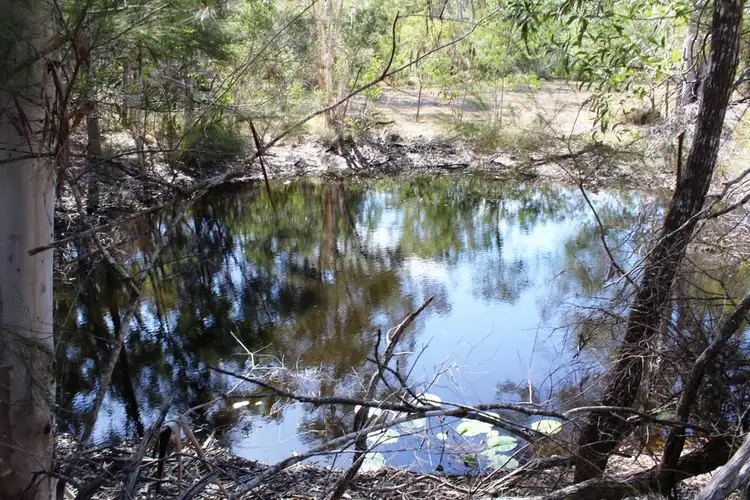 Sixth view of Homely house listing, 59 Ti Tree Road East, Booral QLD 4655