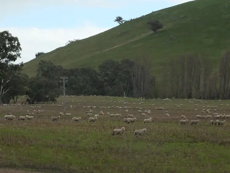 Second view of Homely rural property listing, CA 8D1 Elmhurst-Glenpatrick Rd, Glenpatrick VIC 3469