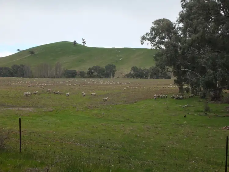 CA 8D2 Elmhurst-Glenpatrick Rd, Glenpatrick VIC 3469