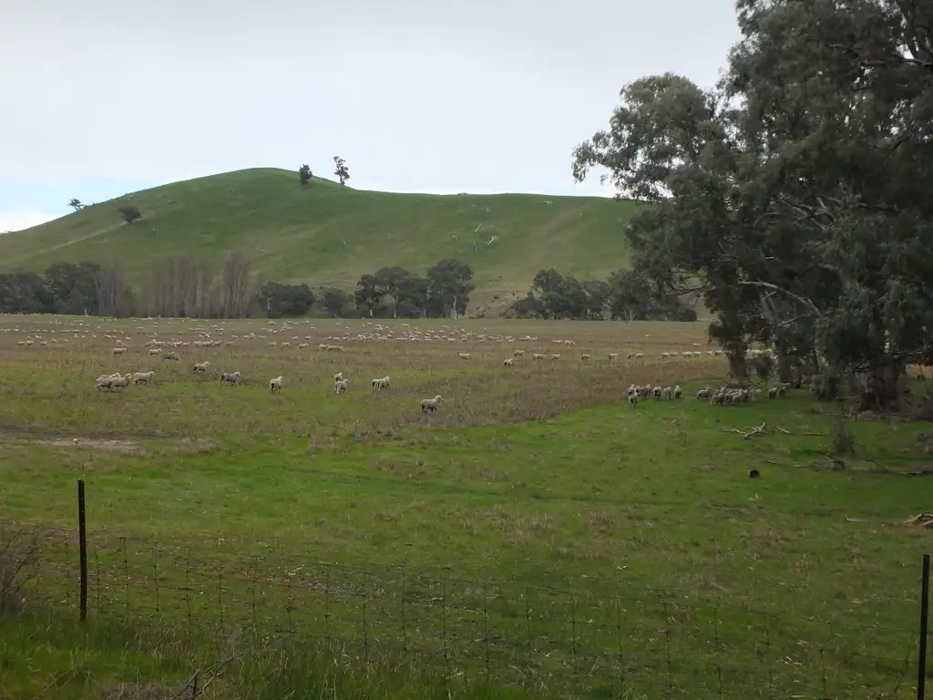 Main view of Homely rural property listing, CA 8D2 Elmhurst-Glenpatrick Rd, Glenpatrick VIC 3469