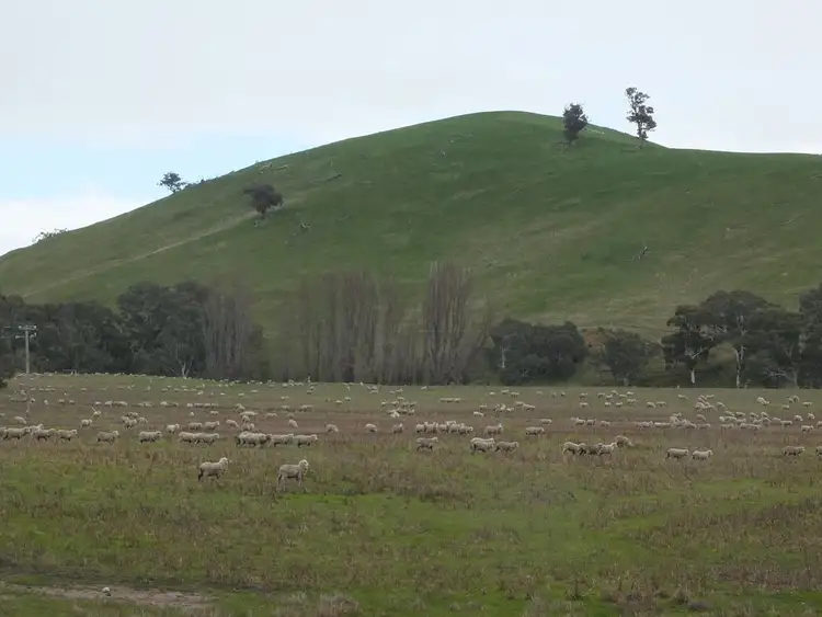 Fourth view of Homely rural property listing, CA 8D2 Elmhurst-Glenpatrick Rd, Glenpatrick VIC 3469