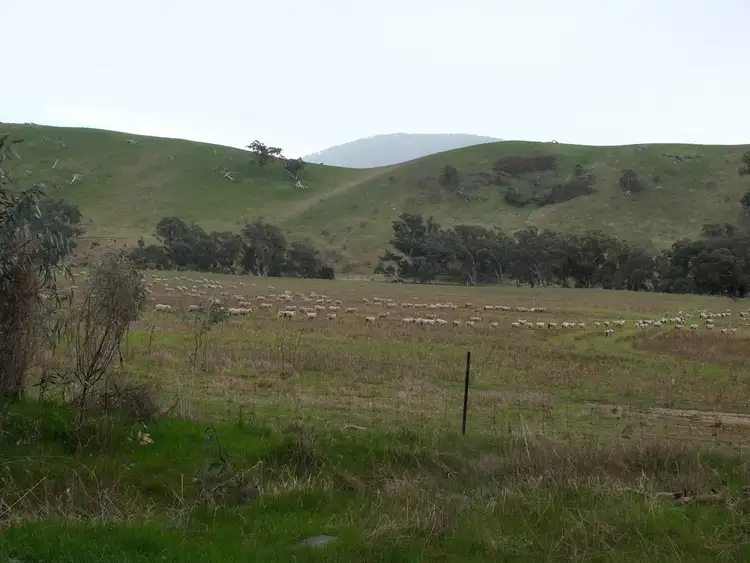 Fifth view of Homely rural property listing, CA 8D2 Elmhurst-Glenpatrick Rd, Glenpatrick VIC 3469