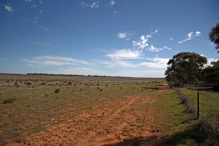Fifth view of Homely rural property listing, Sections 12, 13 & 151 Hundred of Allen, Caliph SA 5310