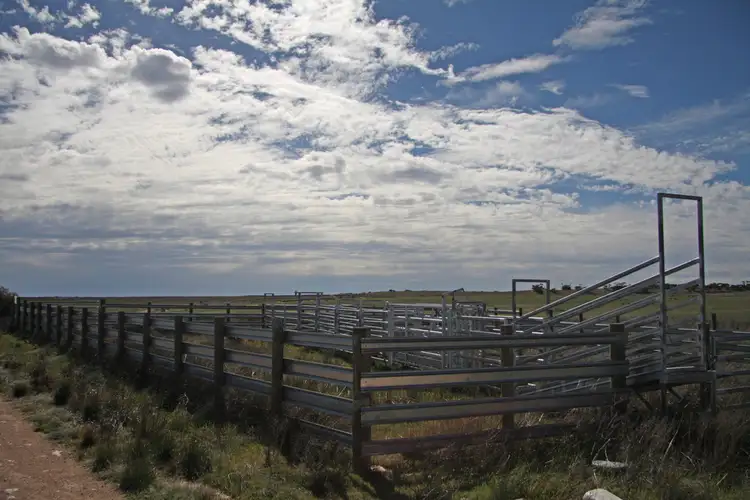 Sixth view of Homely rural property listing, Sections 12, 13 & 151 Hundred of Allen, Caliph SA 5310